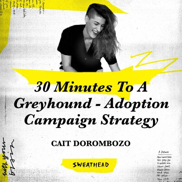30 Minutes To A Greyhound-Adoption Campaign Strategy - Cait Dorombozo, Graphic Designer